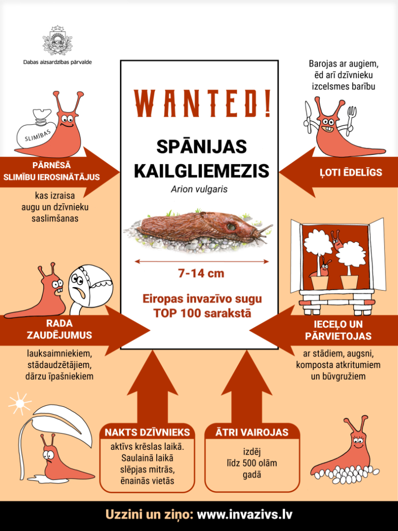 Spānijas kailgliemezis