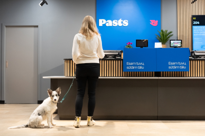 Dāma ar sunīti, kuru apkalpo pastā